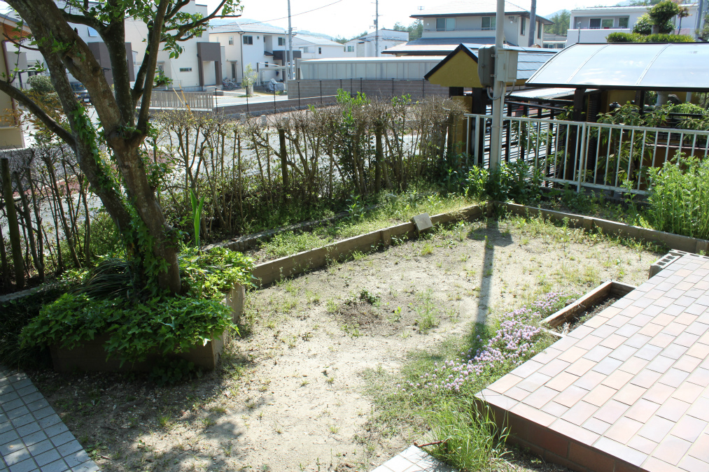before-garden(2)